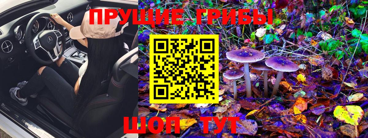 Галлюциногенные грибы Magic Shrooms  Вход с VPN  Москва 